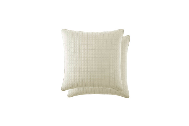 Top 10 White Euro Throw Pillows in 2023 Wayfair